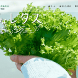 タラッサ農園の海すなレタス